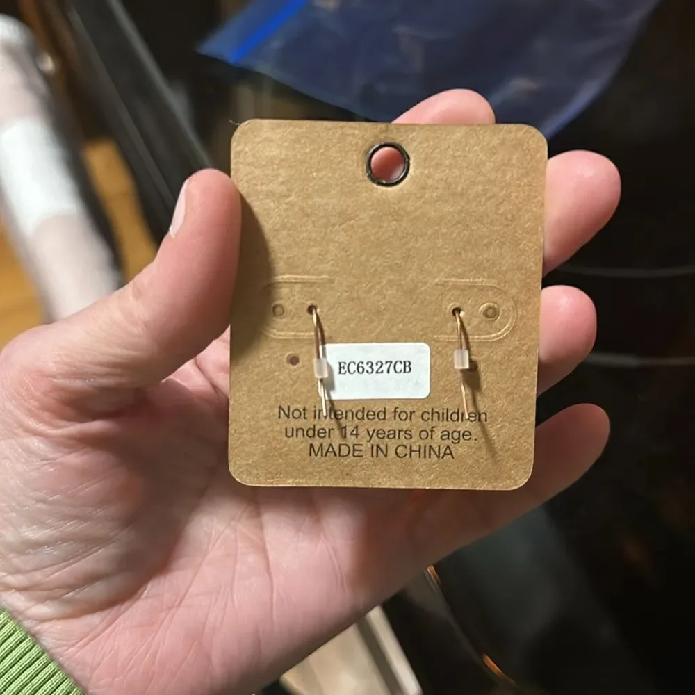 NWT Two Tone Metal Cactus Earrings (look like hammered copper)